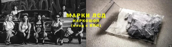 PSILOCYBIN Алзамай